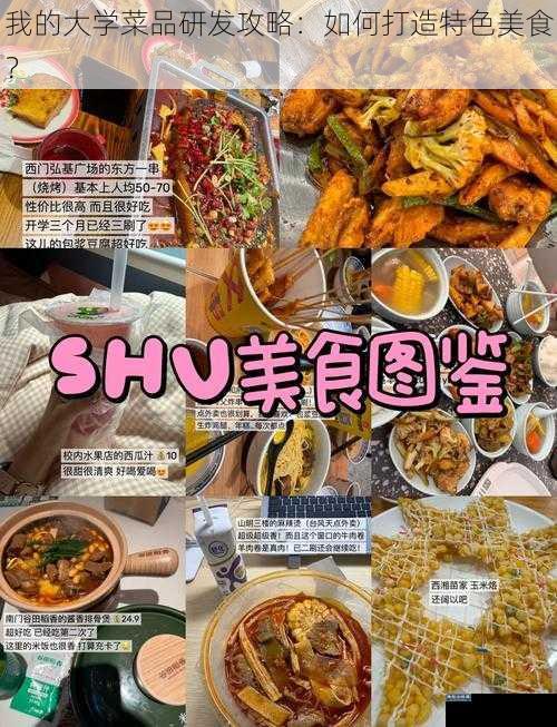 我的大学菜品研发攻略：如何打造特色美食？