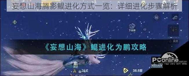 妄想山海腾影鲲进化方式一览：详细进化步骤解析