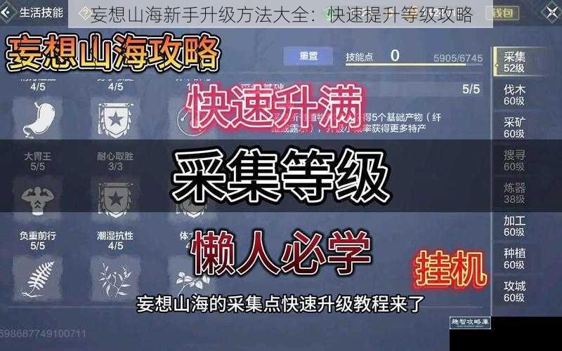 妄想山海新手升级方法大全：快速提升等级攻略