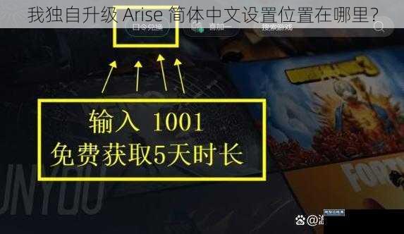 我独自升级 Arise 简体中文设置位置在哪里？