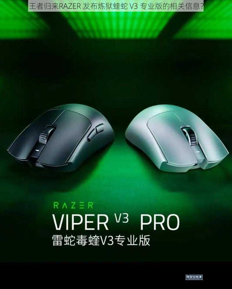 王者归来RAZER 发布炼狱蝰蛇 V3 专业版的相关信息？