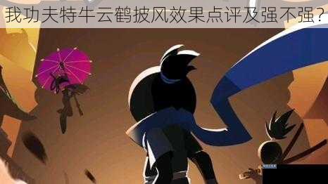 我功夫特牛云鹤披风效果点评及强不强？