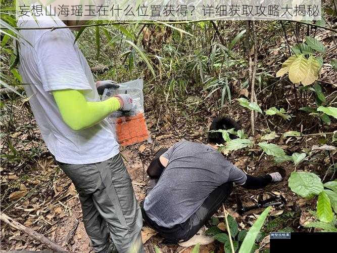 妄想山海瑶玉在什么位置获得？详细获取攻略大揭秘