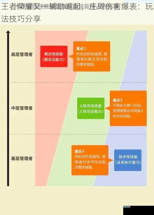 王者荣耀又一辅助崛起，庄周伤害爆表：玩法技巧分享