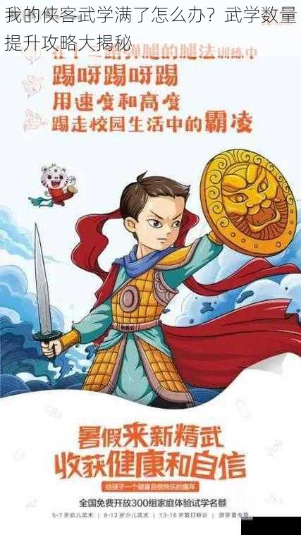 我的侠客武学满了怎么办？武学数量提升攻略大揭秘