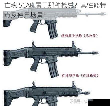 亡魂 SCAR 属于那种枪械？其性能特点及使用场景