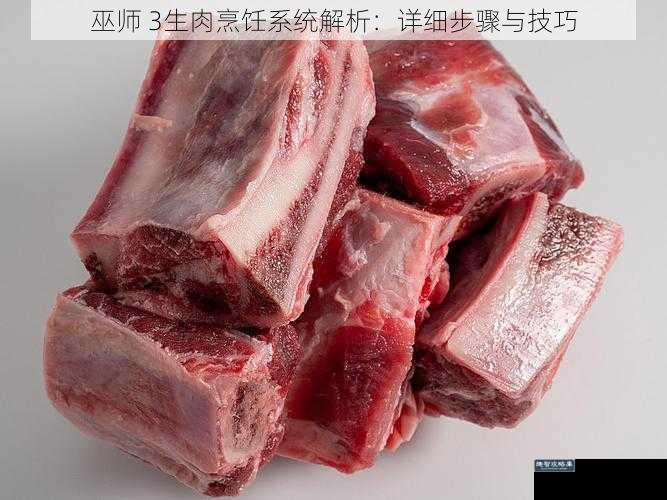 巫师 3生肉烹饪系统解析：详细步骤与技巧