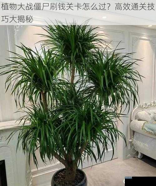 植物大战僵尸刷钱关卡怎么过？高效通关技巧大揭秘