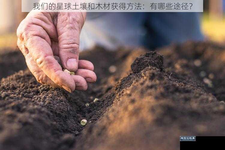 我们的星球土壤和木材获得方法：有哪些途径？