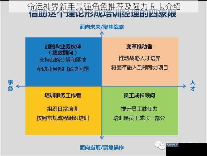 命运神界新手最强角色推荐及强力 R 卡介绍