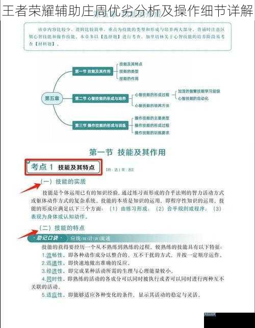 王者荣耀辅助庄周优劣分析及操作细节详解