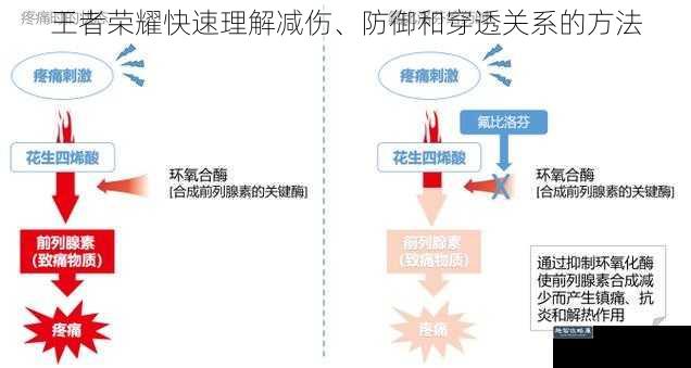 王者荣耀快速理解减伤、防御和穿透关系的方法