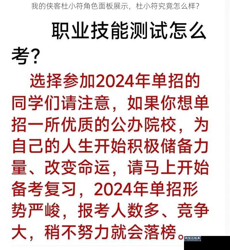 我的侠客杜小符角色面板展示，杜小符究竟怎么样？