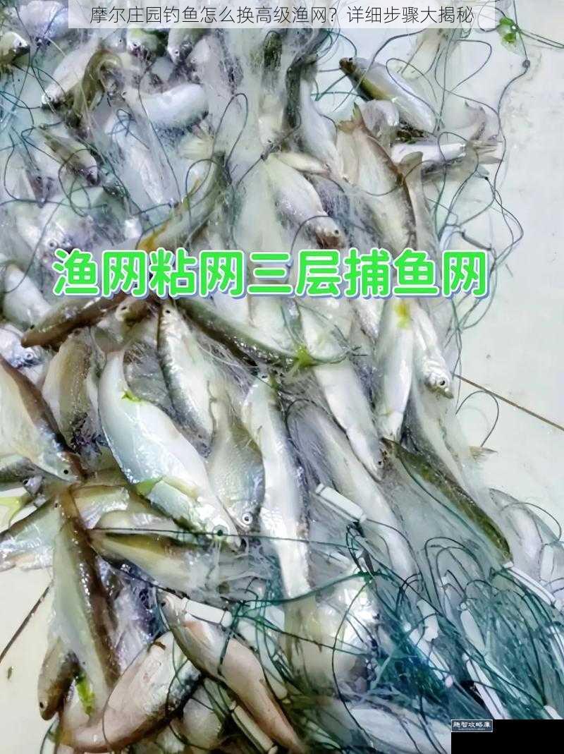 了解高级渔网的获取途径