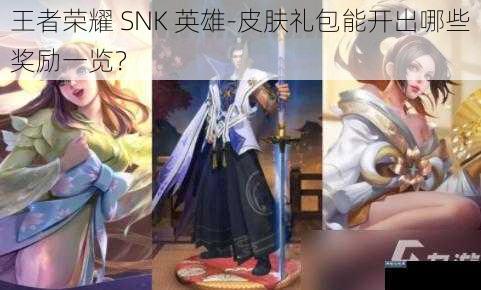 王者荣耀 SNK 英雄-皮肤礼包能开出哪些奖励一览？