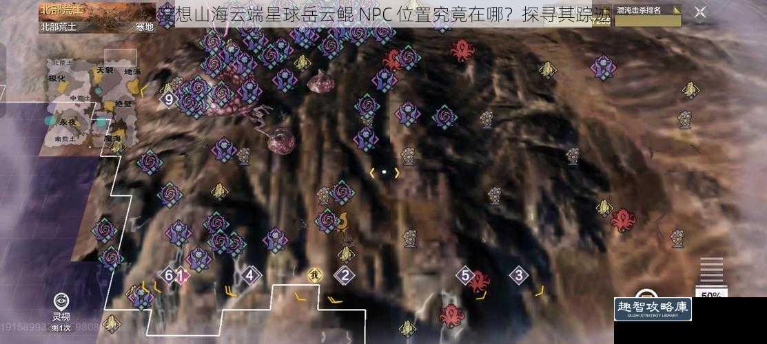 妄想山海云端星球岳云鲲 NPC 位置究竟在哪？探寻其踪迹