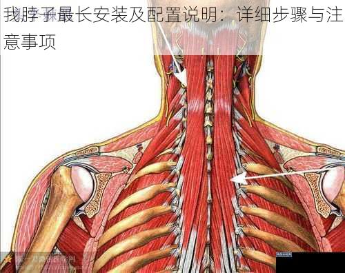 我脖子最长安装及配置说明：详细步骤与注意事项