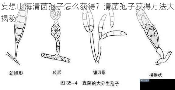 妄想山海清菌孢子怎么获得？清菌孢子获得方法大揭秘