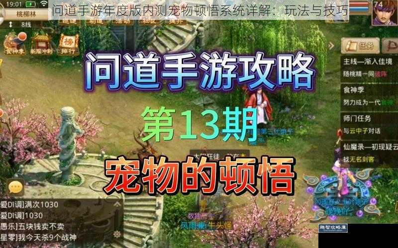 问道手游年度版内测宠物顿悟系统详解：玩法与技巧