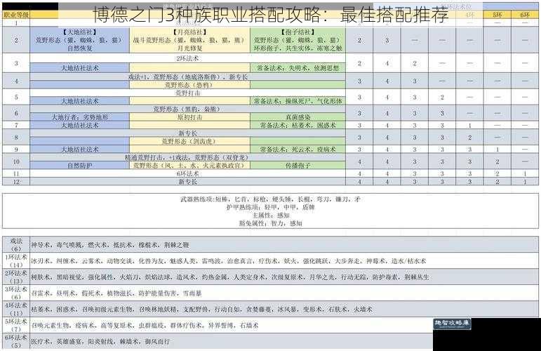 博德之门3种族职业搭配攻略：最佳搭配推荐