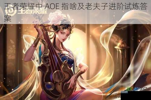 王者荣耀中 AOE 指啥及老夫子进阶试炼答案