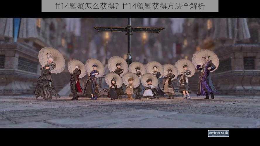 ff14蟹蟹怎么获得？ff14蟹蟹获得方法全解析