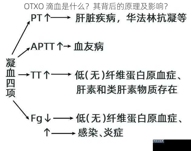 OTXO 滴血是什么？其背后的原理及影响？