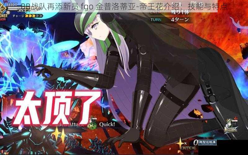 BB战队再添新员 fgo 金普洛蒂亚-帝王花介绍：技能与特点