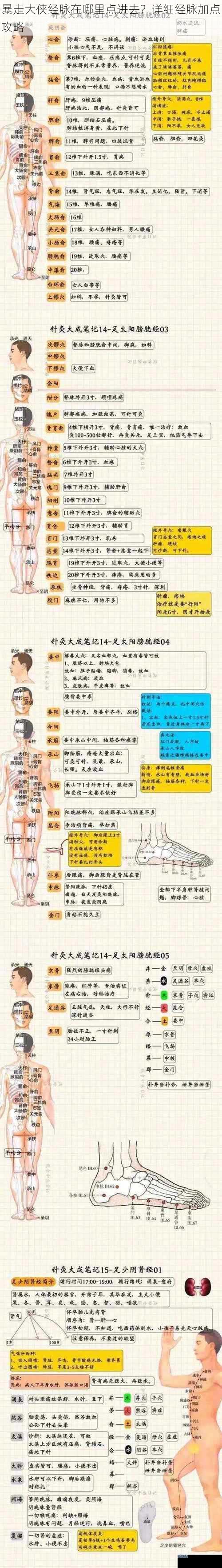 暴走大侠经脉在哪里点进去？详细经脉加点攻略