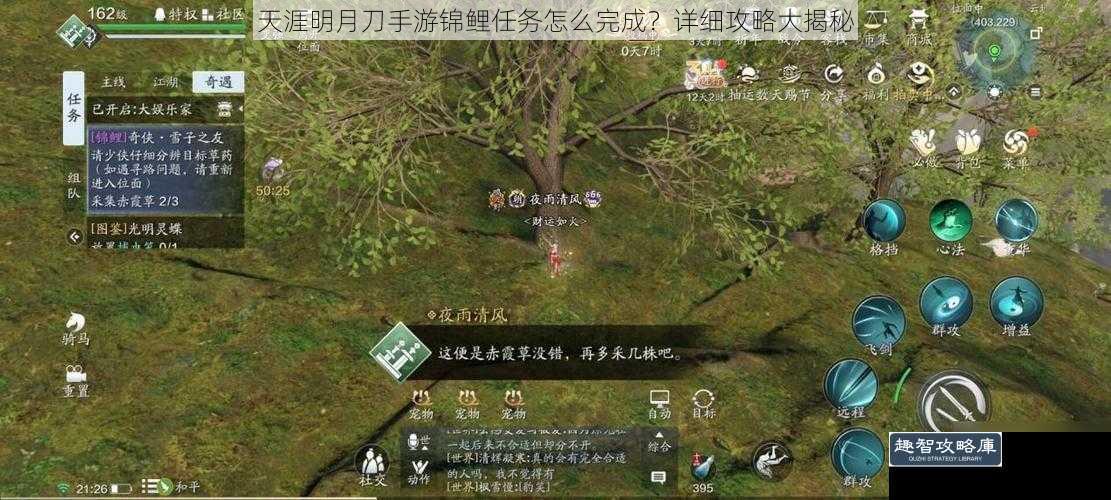 天涯明月刀手游锦鲤任务怎么完成？详细攻略大揭秘