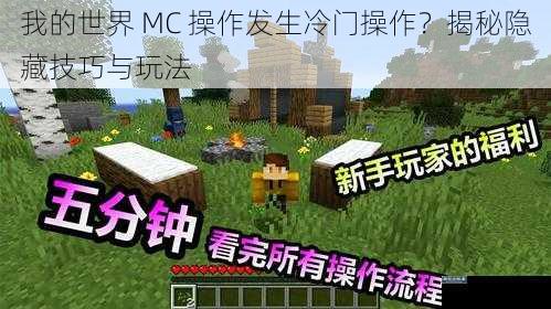 我的世界 MC 操作发生冷门操作？揭秘隐藏技巧与玩法