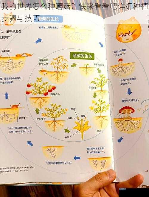 我的世界怎么种蘑菇？快来看看吧详细种植步骤与技巧