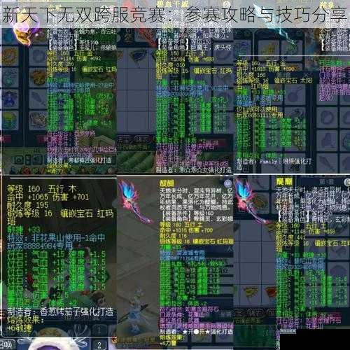 新天下无双跨服竞赛：参赛攻略与技巧分享